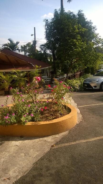 Palm Bay Guest House & Restaurant Montego Bay Exterior photo